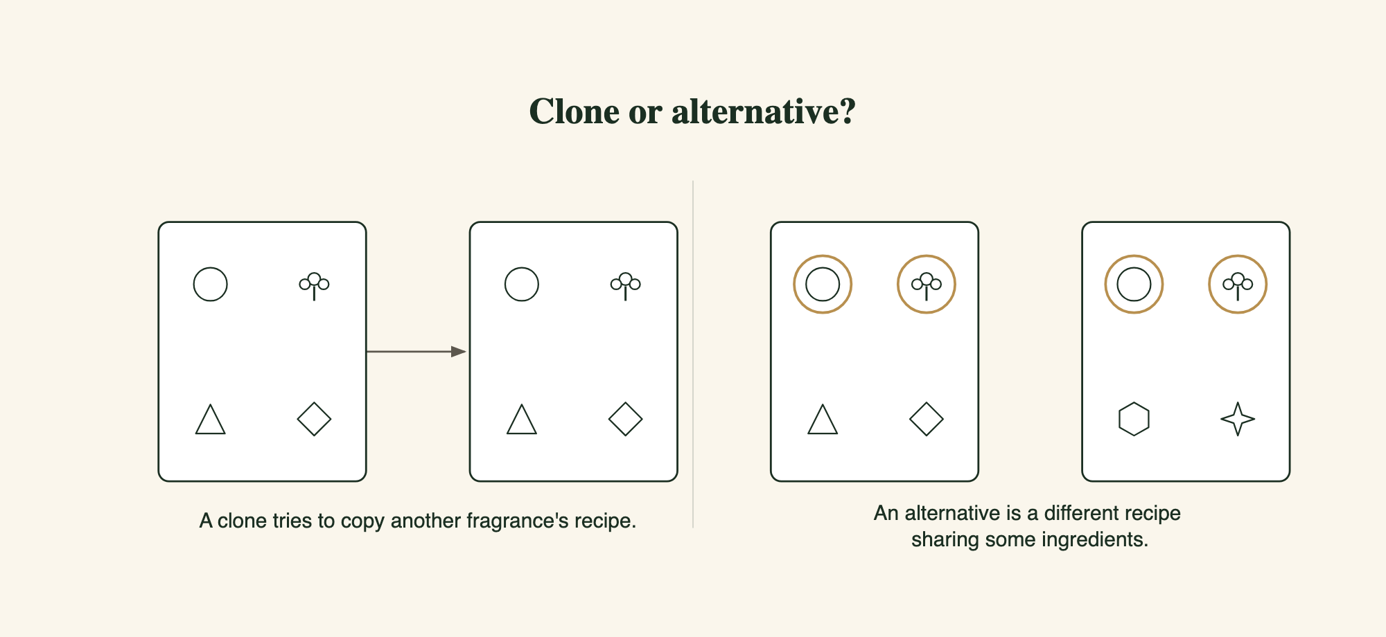 Simple illustration of a fragrance as a recipe of smells: a clone tries to copy the whole recipe, while an alternative is a different recipe that uses some of the same smells, shown as two matching circled icons
