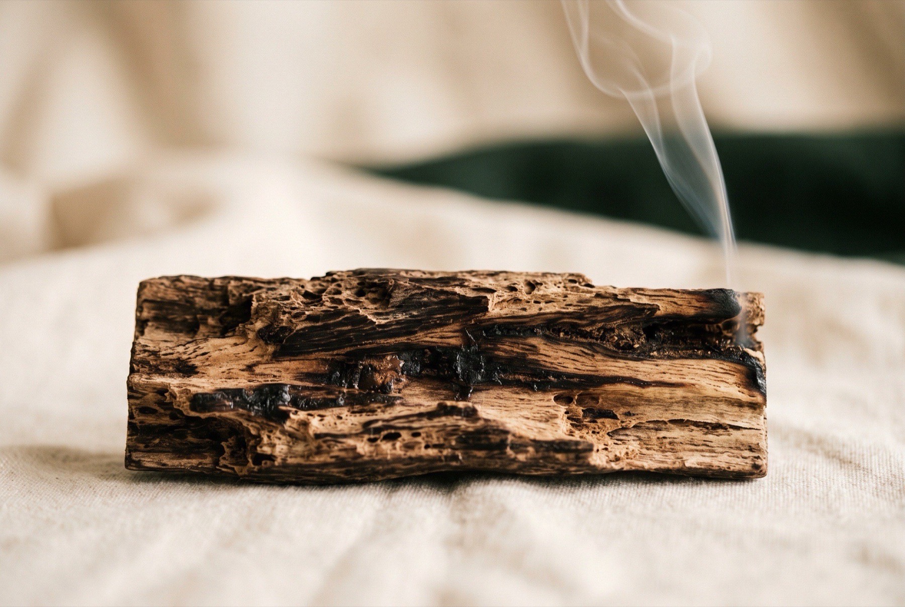 Close-up of dark agarwood with deep brown resin streaks running through pale wood grain and a thin wisp of smoke in warm autumn light